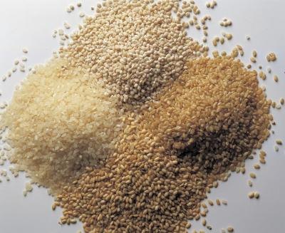 Assortment of grains.