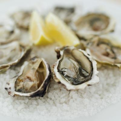A plate of raw oysters.