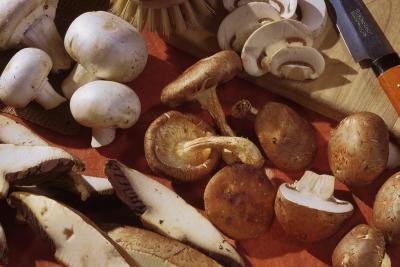 Assorted mushrooms on cutting board