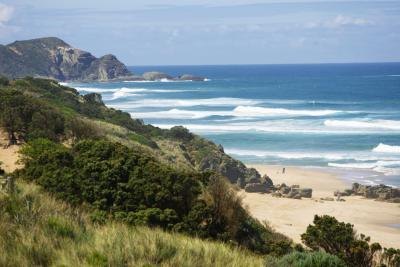 The coastal ocean zone includes kelp forests and coral reefs. The coastal ocean zone includes kelp forests and coral reefs.