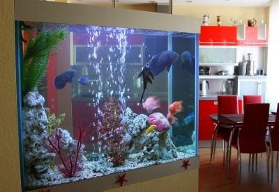 An aquarium functions properly in a contemporary home. An aquarium functions properly in a contemporary home.