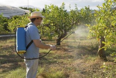 Look out for bushes sprayed with herbicide.