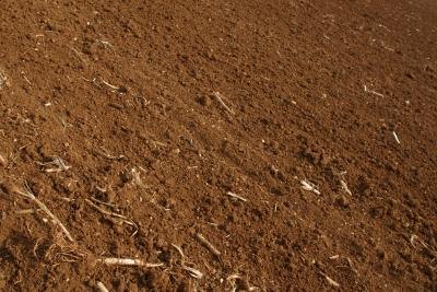 Preparing a smooth and well-drained surface is critical for lawn establishment.