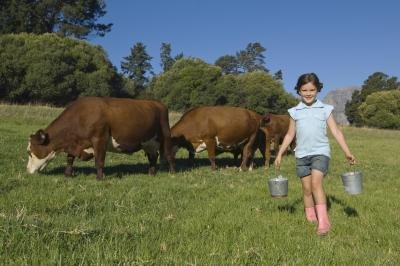 Visiting a farm and milking a real cow is a real life learning experience that can't be replicated by reading a book.
