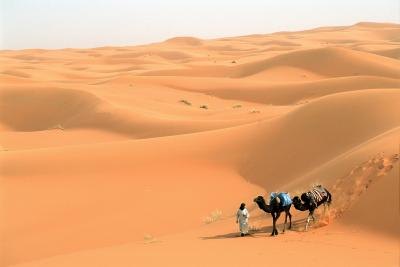 Sahara Desert