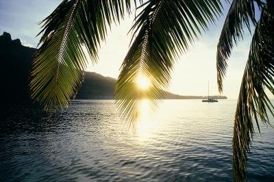 Polynesia. Polynesia.