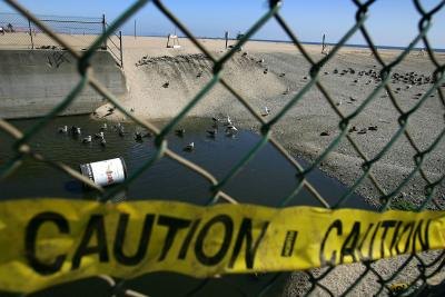 Water drain with high levels of bacteria near Santa Monica, CA.