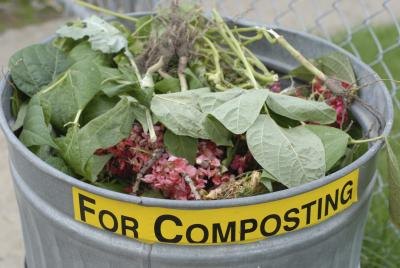 They can be used for composting.