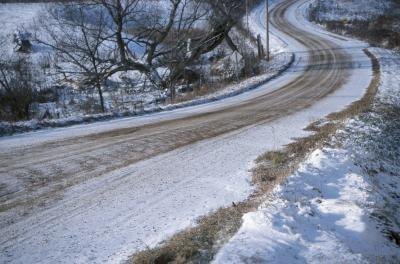 Grass in cold winter.