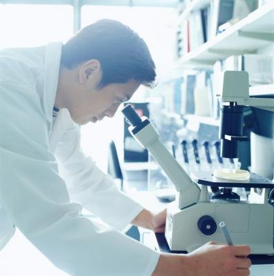 Researchers are uncertain as to why diverticulas begins.