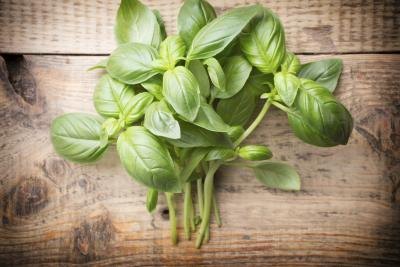 substitutes for dried basil leaves with pictures ehow substitutes for dried basil leaves with pictures ehow
