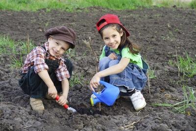 A school garden with two young students working in it