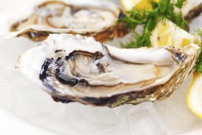 Illness Caused by Eating Oysters Illness Caused by Eating Oysters