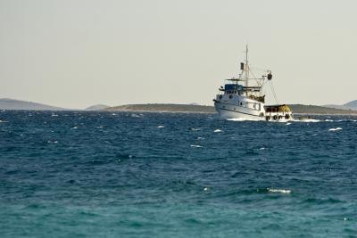 A good group project for younger students is to have them create a large collage of photos and images of sea food resources.