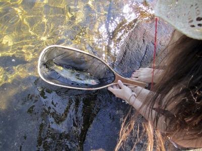 Woman removing dead trout from water
