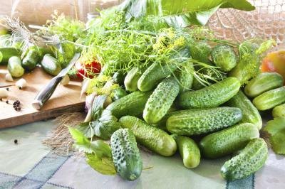 A heap of fresh picked garden cucumbers piled on the counter near a cutting board with a knife.