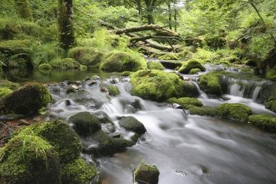 Older students can create a web page that focuses on the struggle to obtain freshwater.