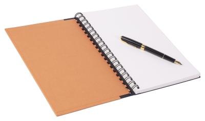 Write in a journal.