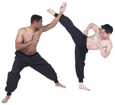 Karate and wing chun are old, well-developed systems of unarmed combat. Karate and wing chun are old, well-developed systems of unarmed combat.