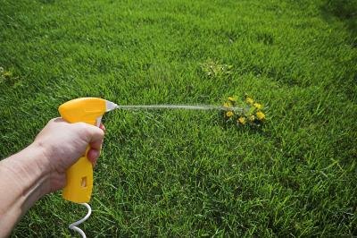 One of the responsibilities of a lawn care technician is to prevent weeds.