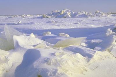 Arctic landscape Arctic landscape