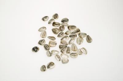 Sunflower seeds
