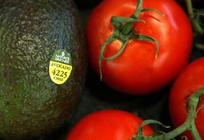 Avocado and tomatoes
