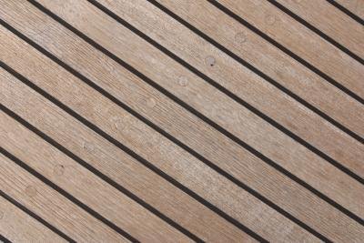 the rainforest is one of the world's top sources of hardwoods like teak