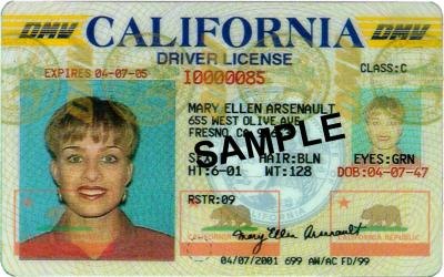 Driver's license