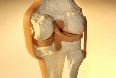 Torn Knee Ligament Symptoms Torn Knee Ligament Symptoms