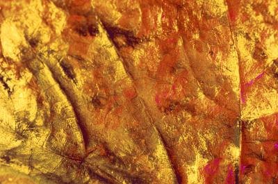 a sheet of edible gold leaf paper