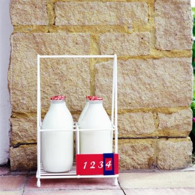 Milk is rich in Vitamin A