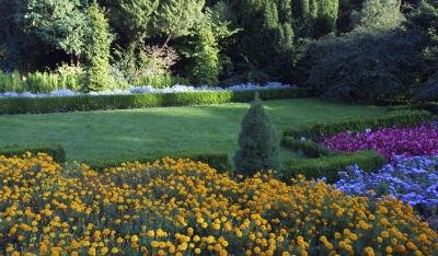 Arborvitae also suffer from a number of pest problems.