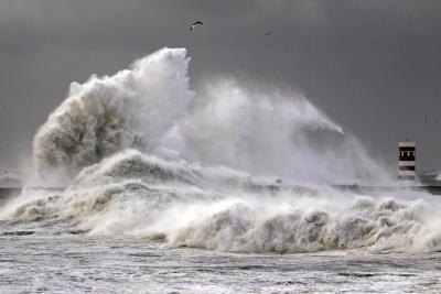 Tsunamis are large ocean waves set in motion by sea floor activity.