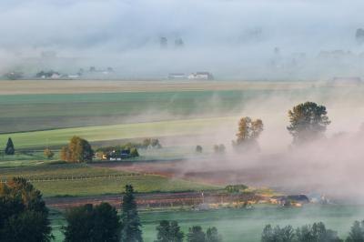 Foggy sunrise in the Fraser Valley region