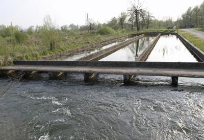 Large raceway for trout fish farming