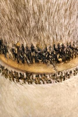 Stitched animal skins on an African drum
