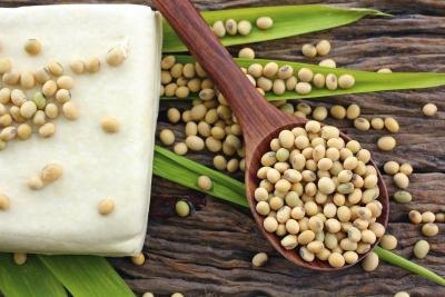 Soybeans and tofu.