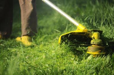 There are many components of an effective lawn care business. There are many components of an effective lawn care business.