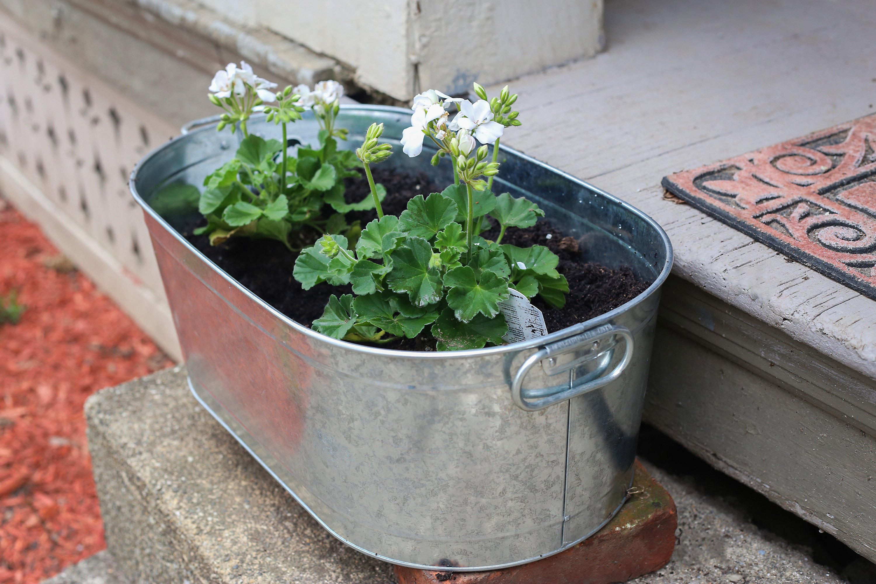 How to Garden in Galvanized Tubs (with Pictures) eHow