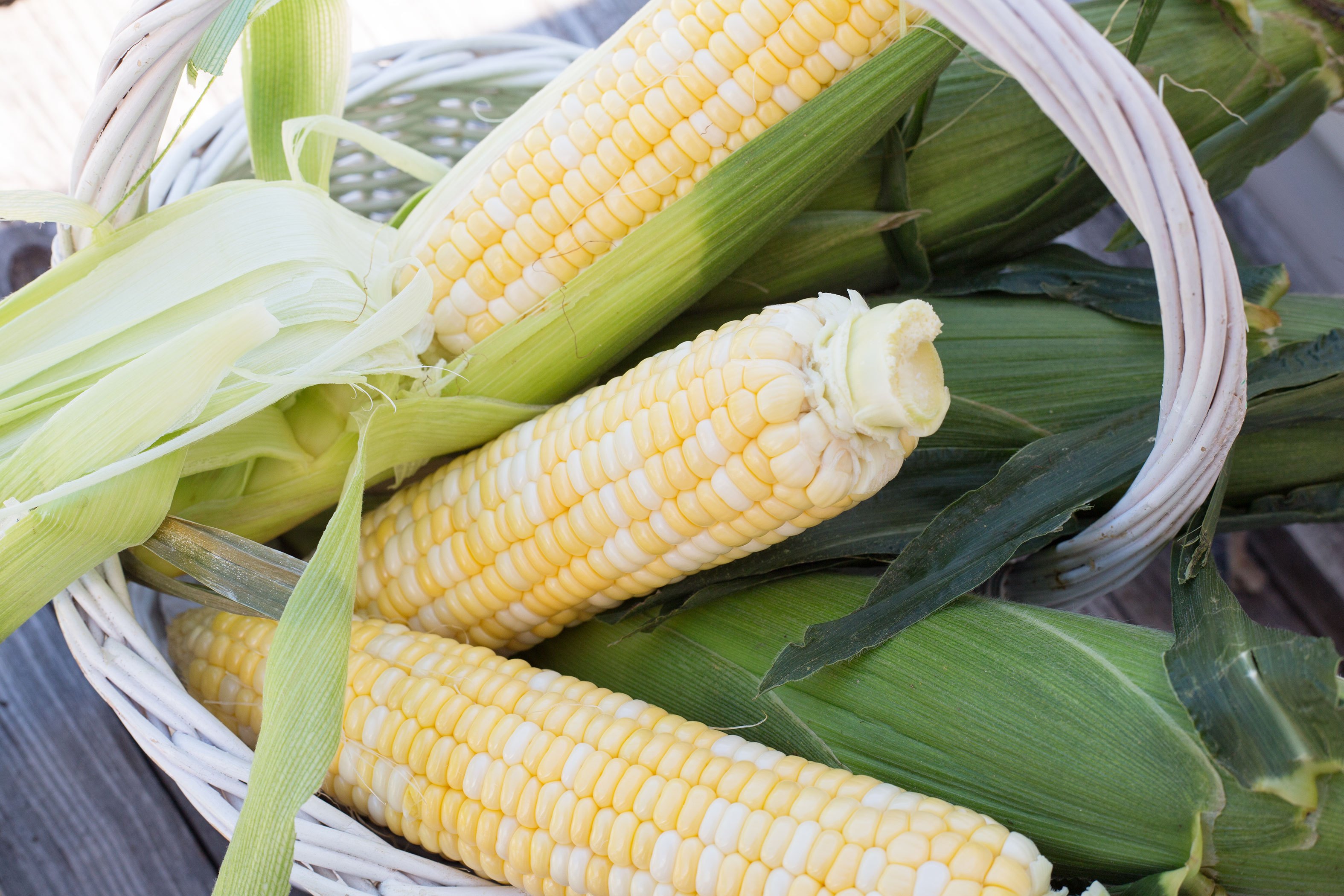 how-to-fertilize-sweet-corn-with-nitrogen-with-pictures-ehow