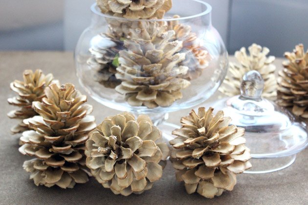 Bleached pine cones can be displayed throughout the year.