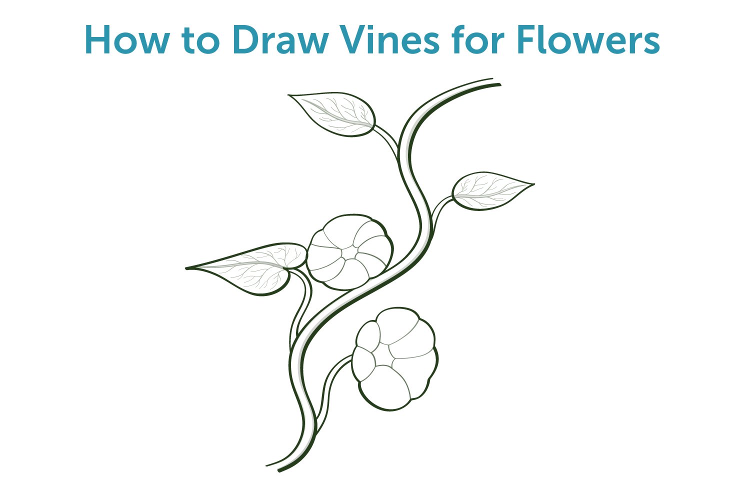 How to Draw Vines for Flowers (with Pictures) | eHow