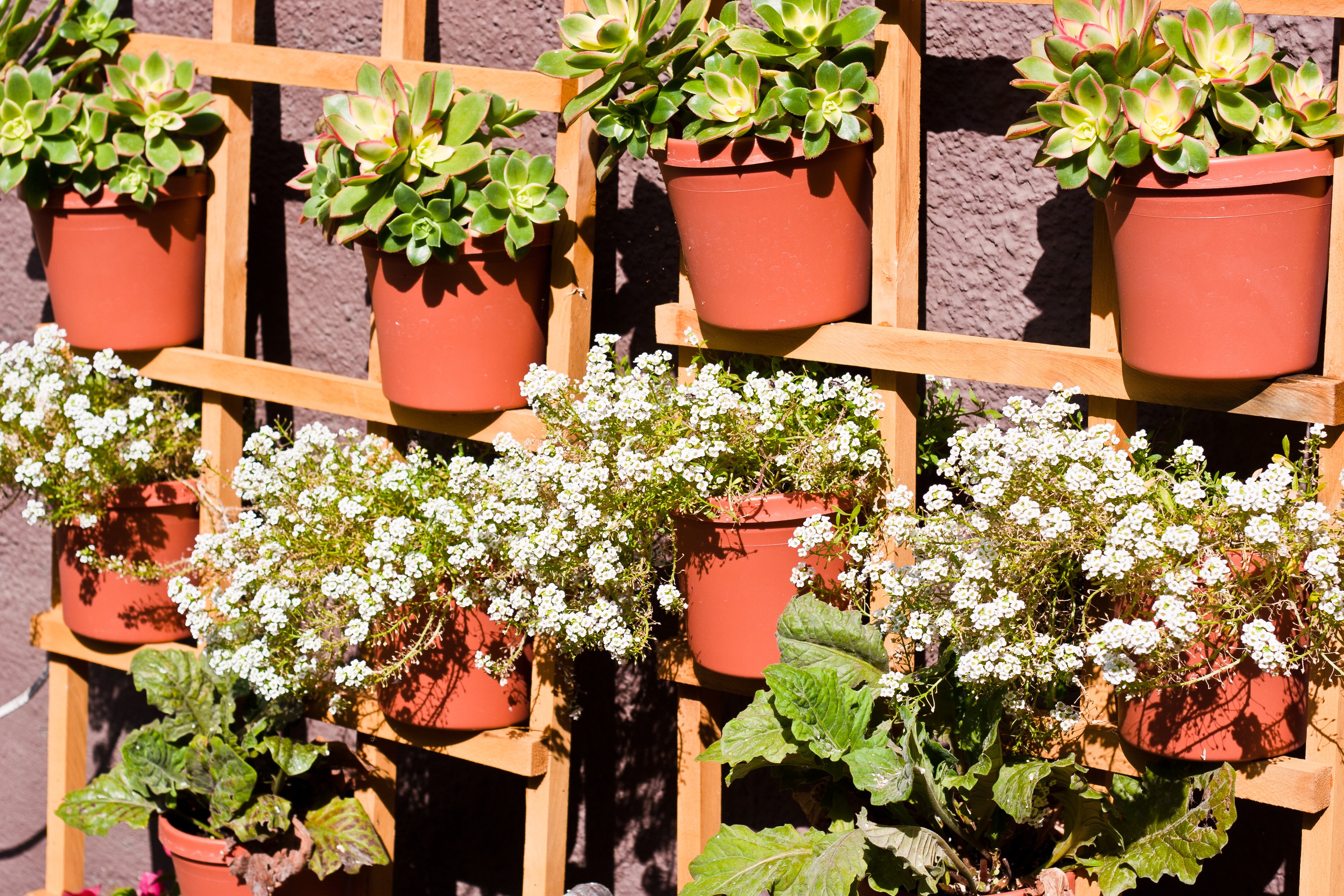 Outdoor Summer Flower Pot Arrangement Ideas (with Pictures ...
