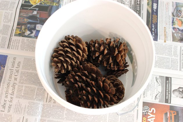 Bleach pine cones in small batches.