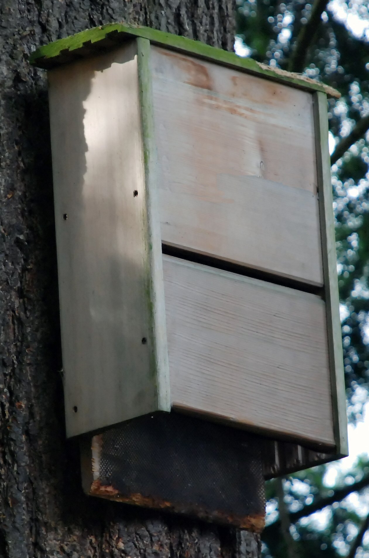 How to Make Bat House | eHow