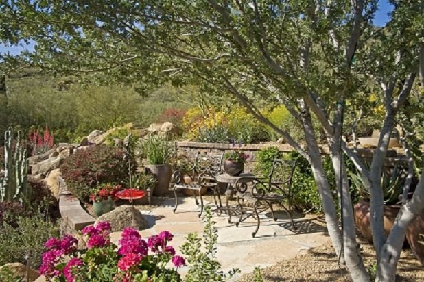 Brilliant flowers light up a serene garden. Brilliant flowers light up a serene garden.