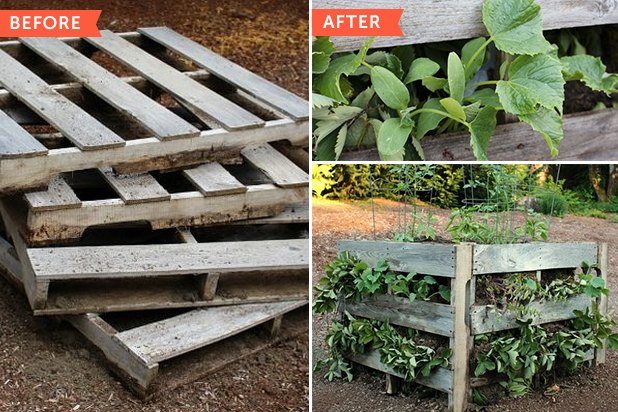 Building raised beds from pallets like this one is a relatively simple weekend project. Building raised beds from pallets like this one is a relatively simple weekend project.
