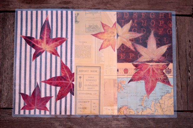 Laminated Leaves Placemat Laminated Leaves Placemat