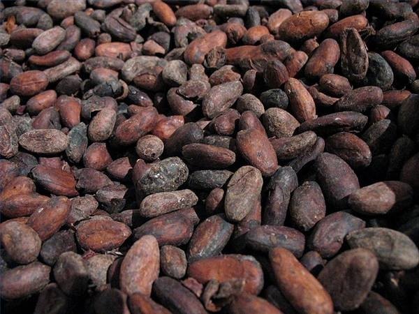 Negative Health Effects of Chocolate Negative Health Effects of Chocolate